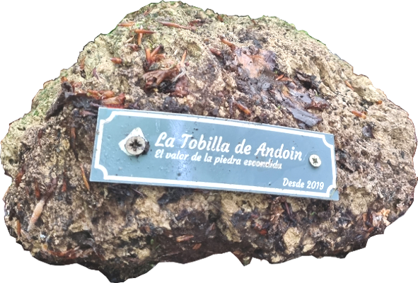 Ilustración de la piedra